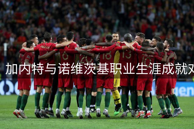 加内特与诺维茨基职业生涯成就对比：谁更胜一筹？